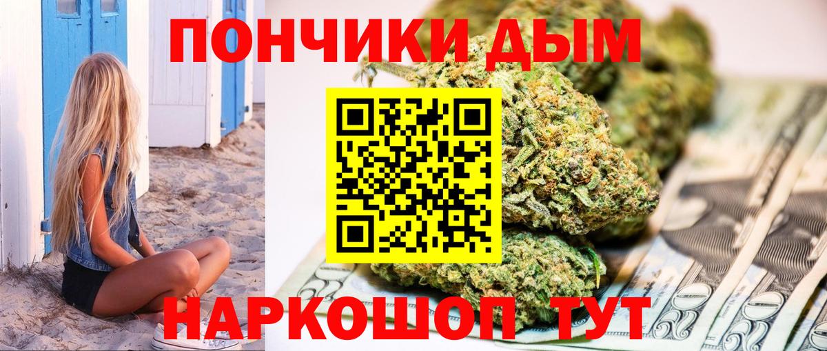 Кунгур  Шишки марихуана сатива  Канабис конопля  Вход с VPN 